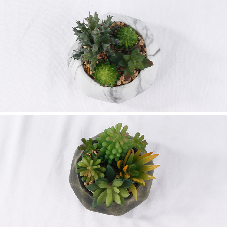 Potted-Succulent-Arrangement-Plants-Artificial-Succulents-Home-Decoration (5).jpg